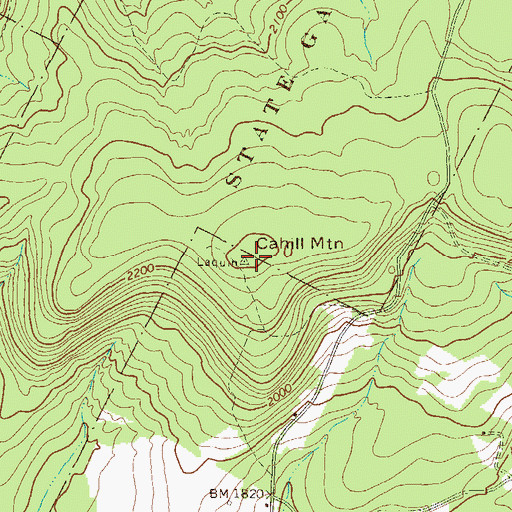 Topographic Map of Cahill Mountain, PA