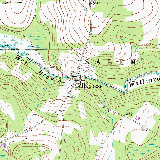 Topographic Map of Callapoose, PA