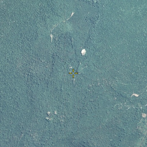 Aerial/Satellite Image of Camp Barree, PA