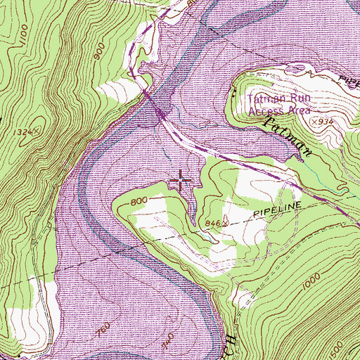 Topographic Map of Camp Reynolds, PA