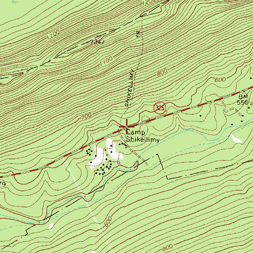 Topographic Map of Camp Shikellimy, PA