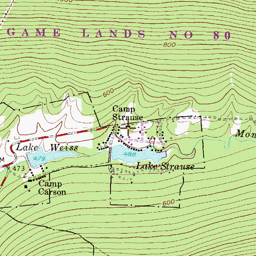 Topographic Map of Camp Strause, PA