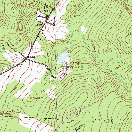 Topographic Map of Camp Wood Echo, PA