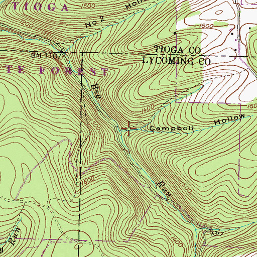Topographic Map of Campbell Hollow, PA