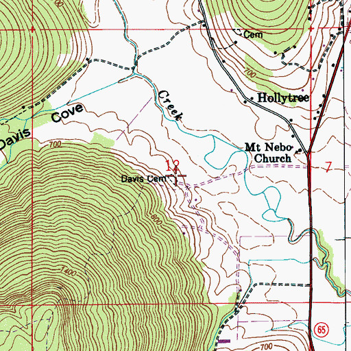 Topographic Map of Davis Cemetery, AL