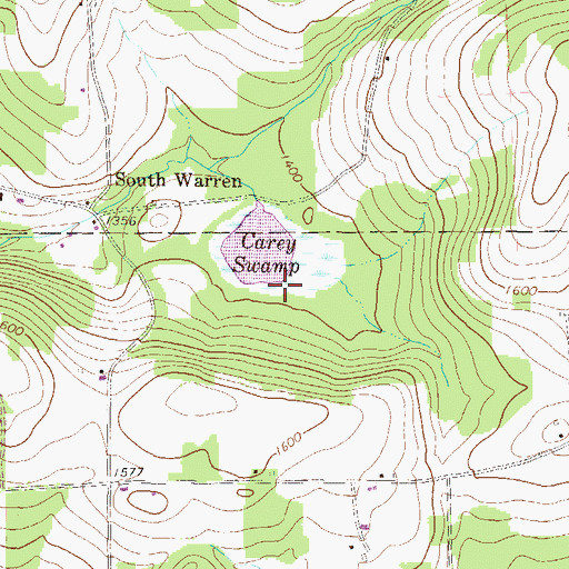 Topographic Map of Carey Swamp, PA