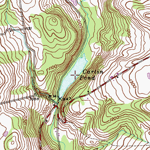 Topographic Map of Carlin Pond, PA
