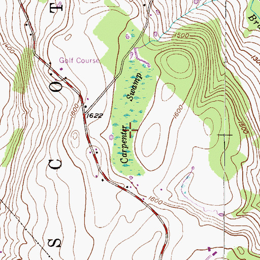 Topographic Map of Carpenter Swamp, PA