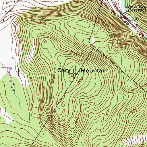 Topographic Map of Cary Mountain, PA