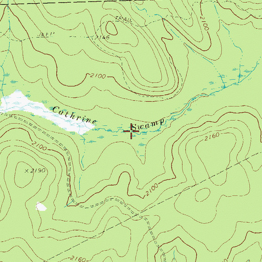Topographic Map of Cathrine Swamp, PA
