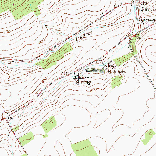 Topographic Map of Cedar Spring, PA