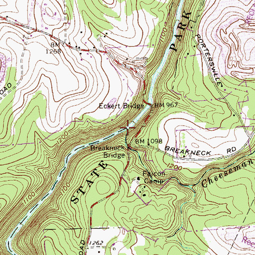 Topographic Map of Cheeseman Run, PA