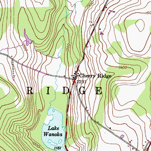 Topographic Map of Cherry Ridge, PA
