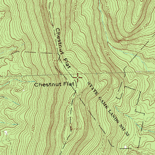 Topographic Map of Chestnut Flat, PA