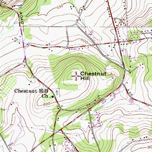 Topographic Map of Chestnut Hill, PA