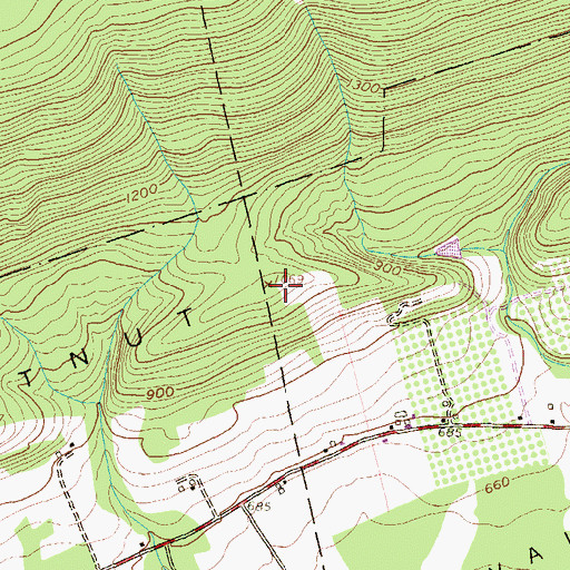 Topographic Map of Chestnut Ridge, PA