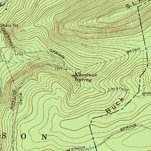 Topographic Map of Chestnut Spring, PA