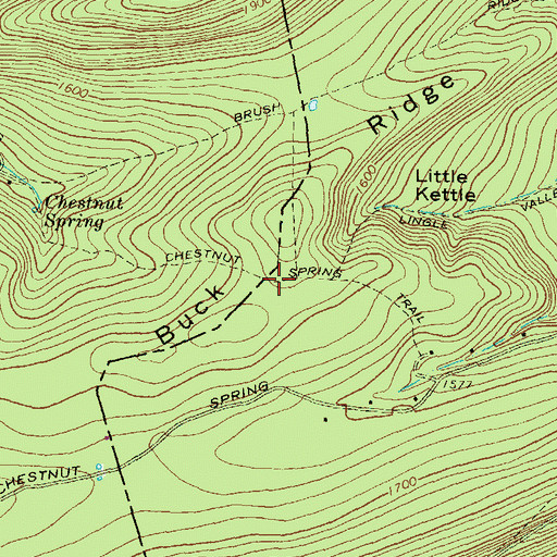 Topographic Map of Chestnut Spring Trail, PA