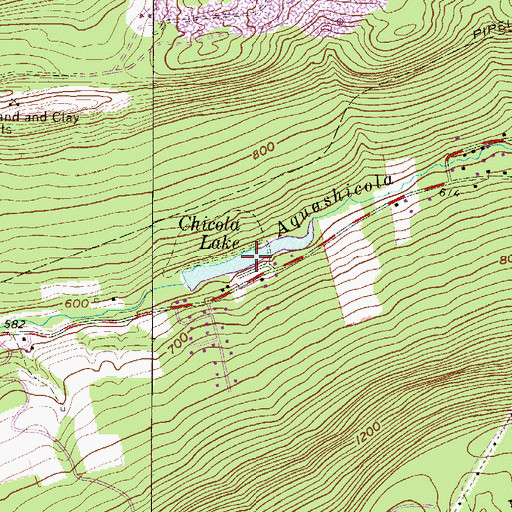 Topographic Map of Chicola Lake, PA