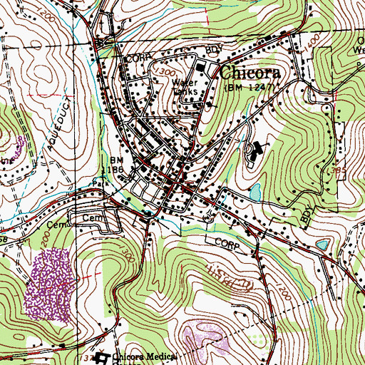 Topographic Map of Chicora, PA
