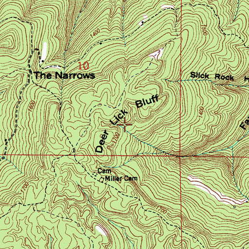 Topographic Map of Deer Lick Bluff, AL