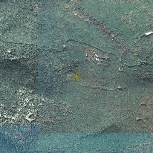 Aerial/Satellite Image of Cobble, PA