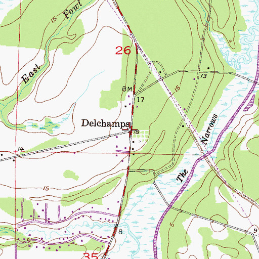 Topographic Map of Delchamps, AL
