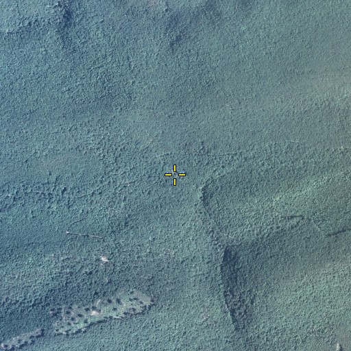 Aerial/Satellite Image of Cold Spring, PA