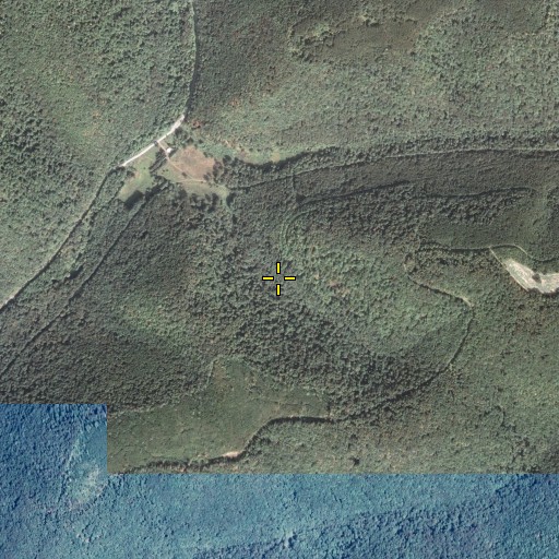 Aerial/Satellite Image of Combs Trail, PA