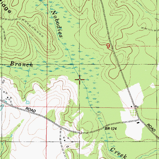 Topographic Map of Denmark Spring Branch, AL
