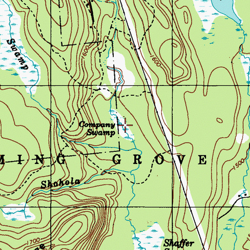 Topographic Map of Company Swamp, PA