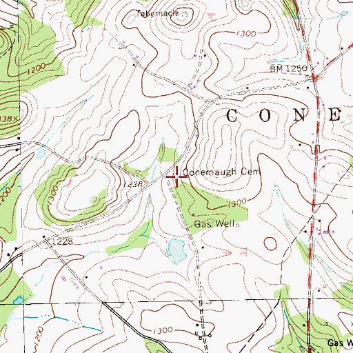Topographic Map of Conemaugh Cemetery, PA