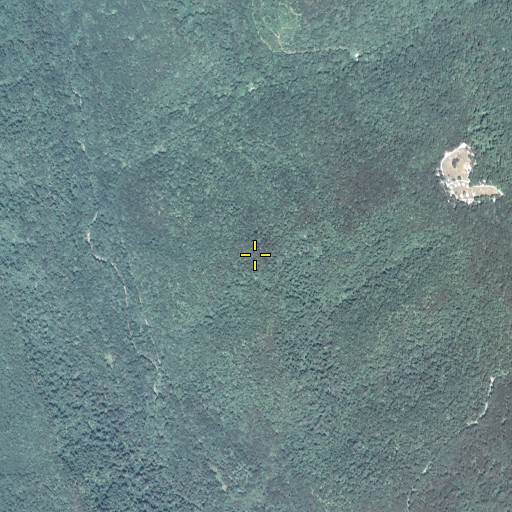 Aerial/Satellite Image of Conrad Ridge, PA