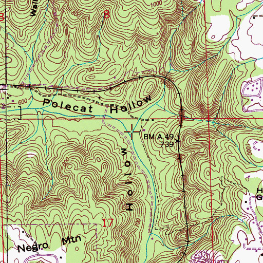 Topographic Map of Derrick Hollow, AL
