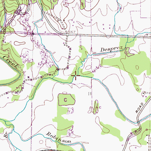 Topographic Map of Desprez Branch, AL