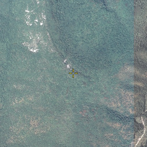 Aerial/Satellite Image of Coot Hill, PA