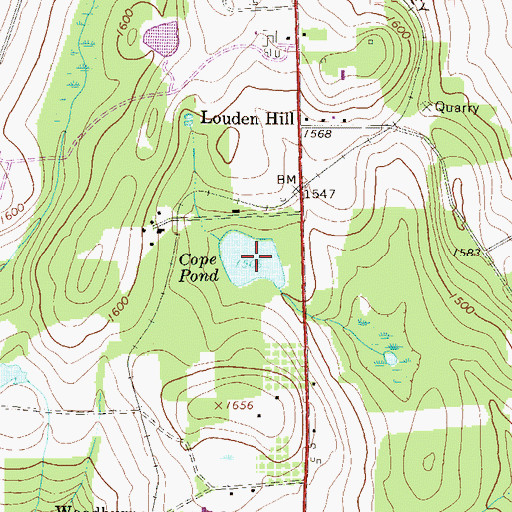 Topographic Map of Cope Pond, PA