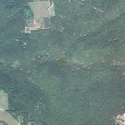 Aerial/Satellite Image of Coupler Run, PA