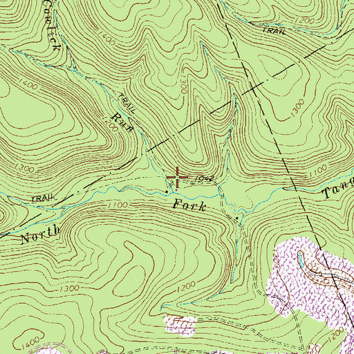 Topographic Map of Cowlick Run, PA