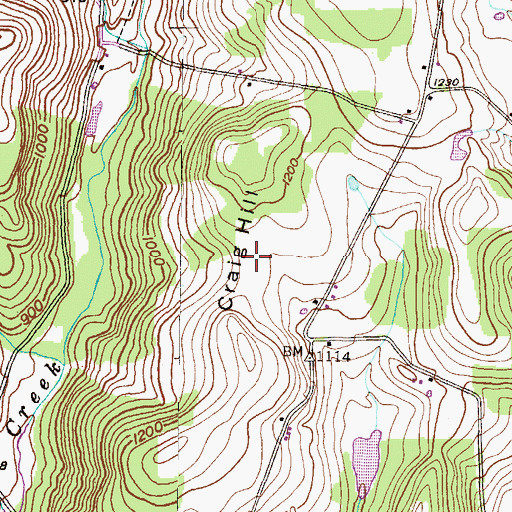 Topographic Map of Craig Hill, PA