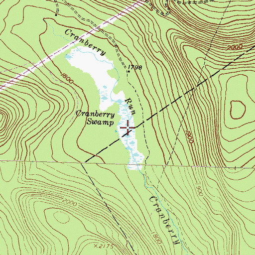 Topographic Map of Cranberry Swamp, PA