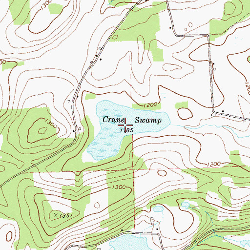 Topographic Map of Crane Swamp, PA