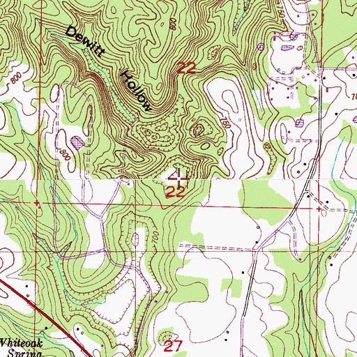 Topographic Map of Dewitt Hollow, AL