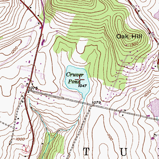Topographic Map of Cruver Pond, PA