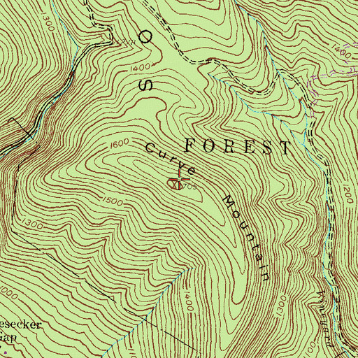 Topographic Map of Curve Mountain, PA