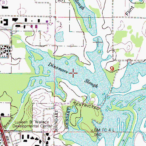 Topographic Map of Dinsmore Slough, AL