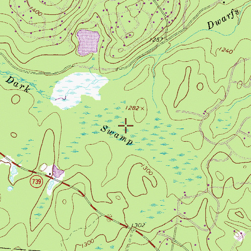 Topographic Map of Dark Swamp, PA