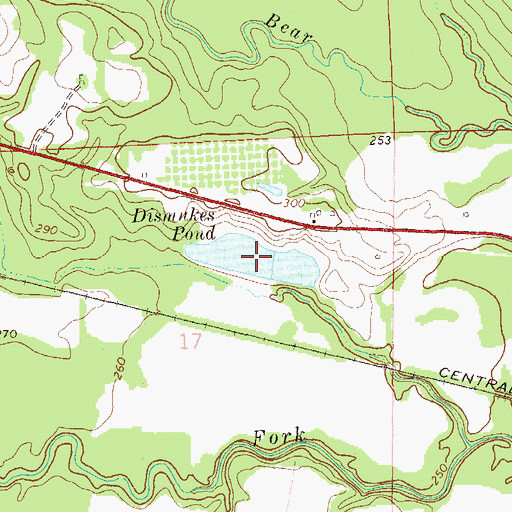 Topographic Map of Dismukes Pond, AL