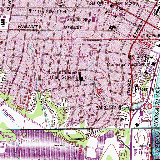 Topographic Map of Disque Junior High School, AL