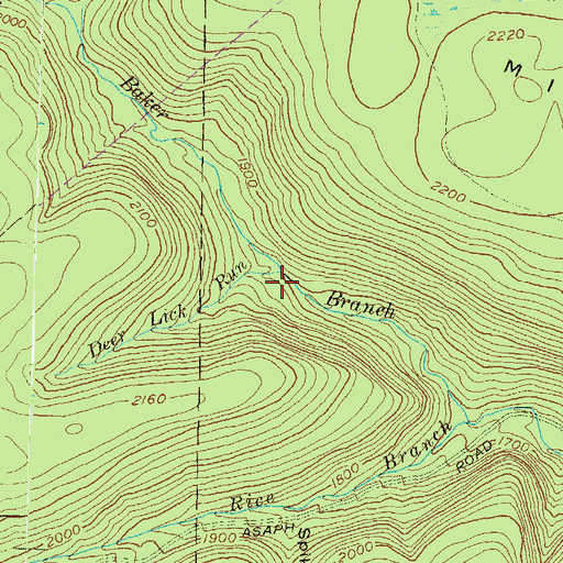 Topographic Map of Deer Lick Run, PA